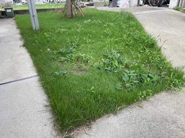 ★お庭のメンテナンスなら 『iGmaintenance.』にお任せください!★サービスの画像