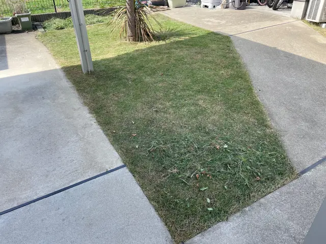 ★お庭のメンテナンスなら 『iGmaintenance.』にお任せください!★サービスの画像