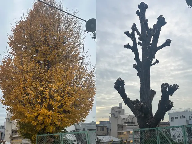 【地域密着店】年中無休◎営業時間外も対応可能◎アフターフォローも万全サービスの画像