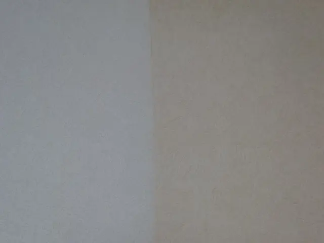 旭川の壁紙・ビニールクロス漂白洗浄　自社対応◎営業時間外予約も相談OK◆年中無休サービスの画像