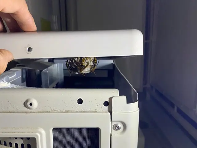 【蜂の成敗はお任せください！】お見積りは【このサービスについて質問する】へ！！サービスの画像