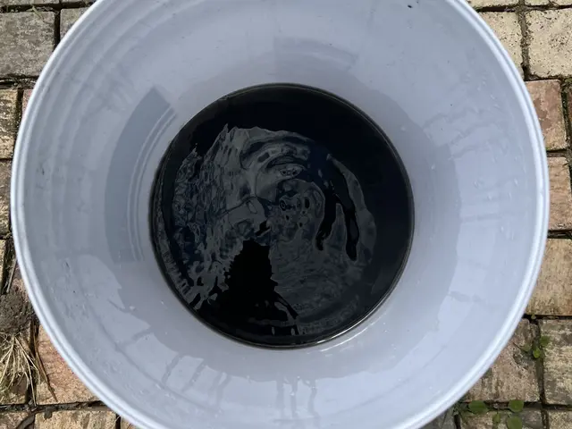 11期目法人！抗菌コート＆エコ洗剤無料♪2台以降割引♪非喫煙者サービスの画像