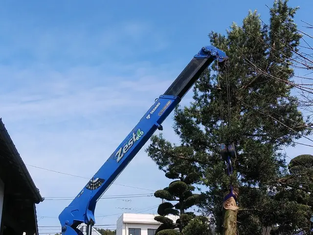 造園技能士が対応いたします。樹木に適した移植方法を提案していきます！サービスの画像