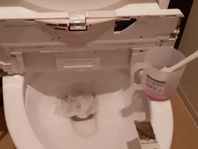 早割11月10％OFF！年末恒例の窓掃除は『大掃除おたすけ隊』にお任せください♪サービスの画像