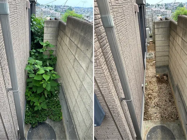 雑草放置はトラブルの元！空き家の庭 空き家 畔道 を綺麗にします！サービスの画像