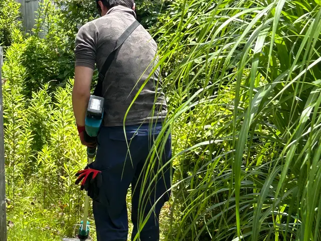 雑草放置はトラブルの元！空き家の庭 空き家 畔道 を綺麗にします！サービスの画像