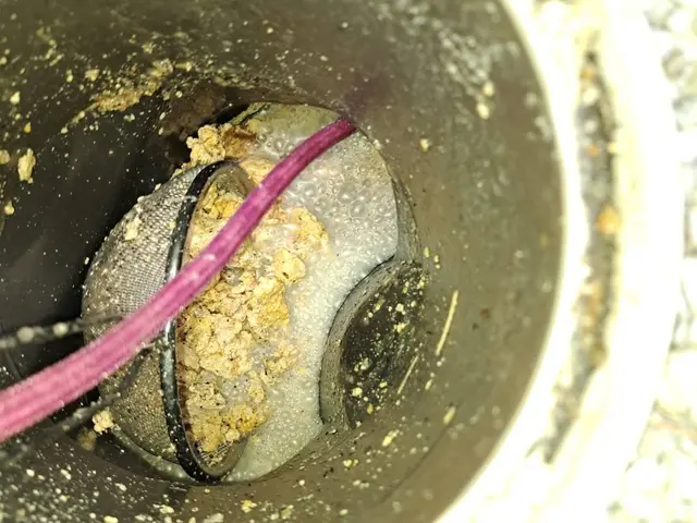 ★即日・夜間対応可★お問い合わせよりご連絡ください。※2階建て迄の対応となりますサービスの画像