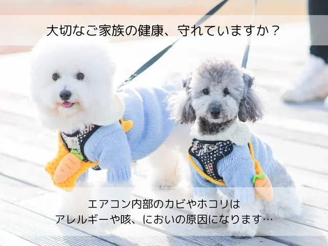 【2月予約受付中】夫婦でお伺いします◎安心安全の損害保険加入済！法人企業です♪サービスの画像