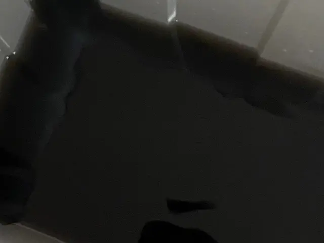 【消臭コート無料！】9500→9000◆女性の訪問◆高圧洗浄で丁寧にカビを除去サービスの画像