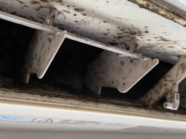 【消臭コート無料！】9500→9000◆女性の訪問◆高圧洗浄で丁寧にカビを除去サービスの画像