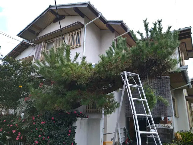 庭木の剪定お任せください。料金表はあくまで目安です。複数であれば値引します。サービスの画像