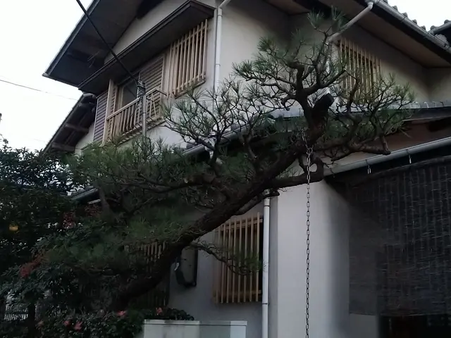 庭木の剪定お任せください。料金表はあくまで目安です。複数であれば値引します。サービスの画像