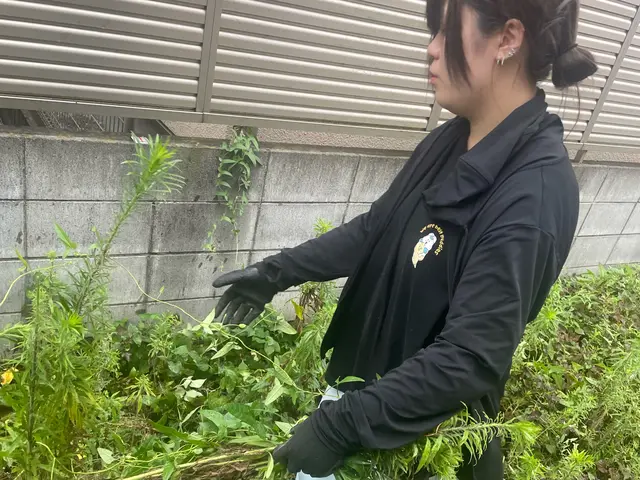 11/19.20空きあり！◆除草剤無料施行中◆情熱の草むしり！ジャングルでも対応サービスの画像