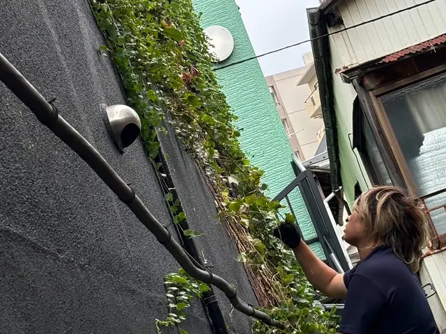 11/19.20空きあり！◆除草剤無料施行中◆情熱の草むしり！ジャングルでも対応サービスの画像