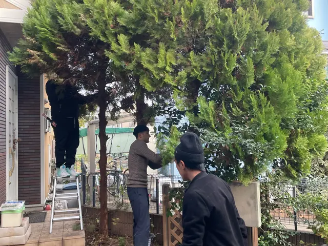 11/19.20空きあり！◆除草剤無料施行中◆情熱の草むしり！ジャングルでも対応サービスの画像