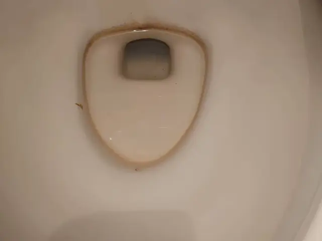 お客様のお力になります！経験と知識を活かして迅速丁寧に作業いたしますサービスの画像