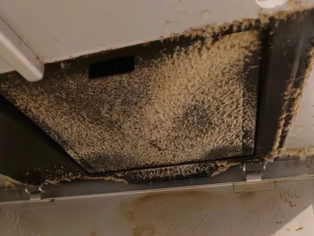 お客様のお力になります！経験と知識を活かして迅速丁寧に作業いたしますサービスの画像