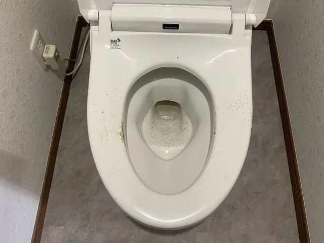 サポートサービスKizunaにお任せ！サービスの画像