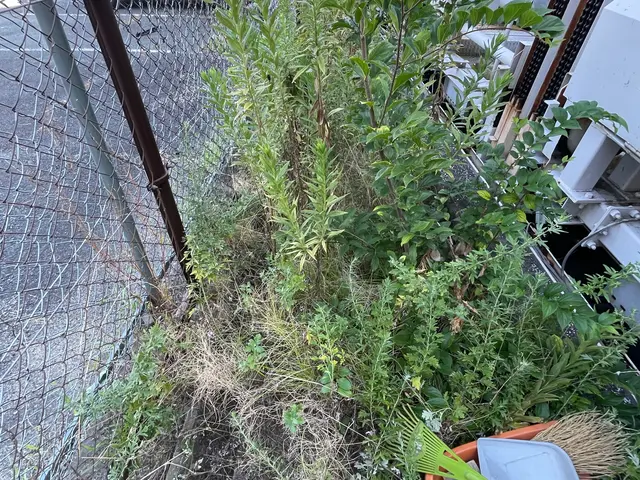 10年以上の実績　草との上手なお付き合いをお伝えしますサービスの画像