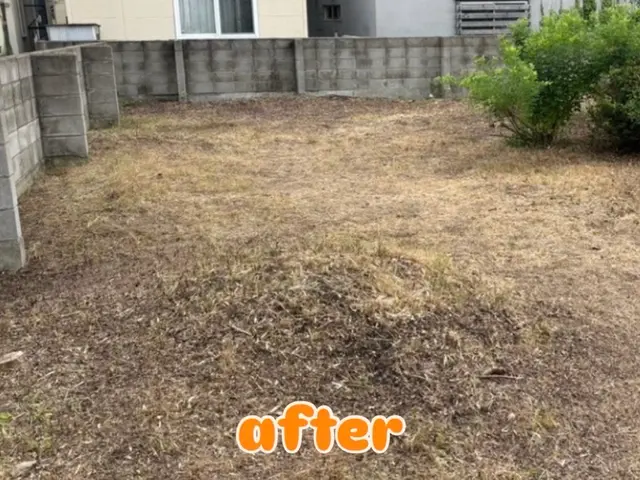 草刈り(草刈り機あり)サービスの画像