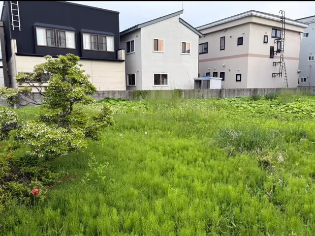 草刈り(草刈り機あり)サービスの画像