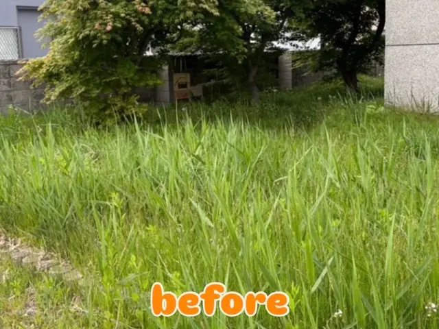 草刈り(草刈り機あり)サービスの画像