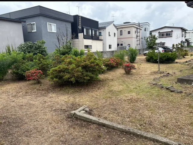 草刈り(草刈り機あり)サービスの画像