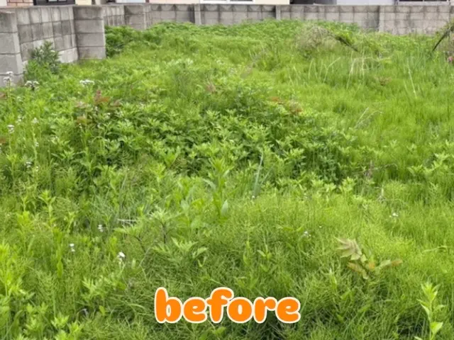 草刈り(草刈り機あり)サービスの画像