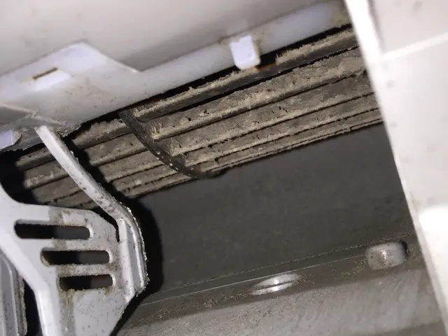 ★分解洗浄★消臭抗菌無料★エコ洗剤使用サービスの画像