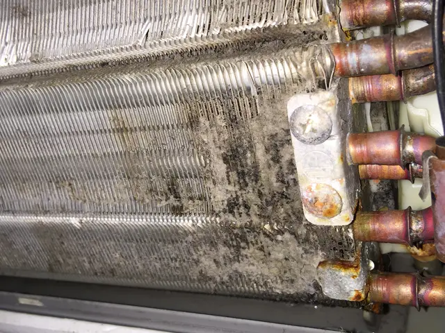 ★分解洗浄★消臭抗菌無料★エコ洗剤使用サービスの画像