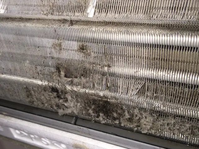 ★分解洗浄★消臭抗菌無料★エコ洗剤使用サービスの画像