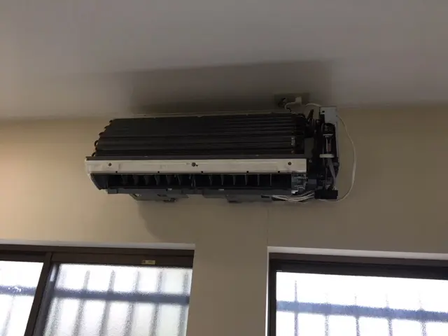 国家資格技能士が施行致します！消臭消毒サービスキャンペーン中！サービスの画像