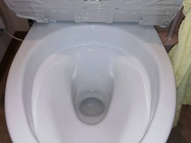 尿石の黄ばみ、黒ずみ完全に落とします！サービスの画像