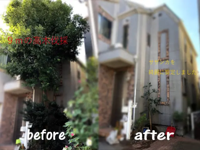 【金賞】豊富な経験と技術力！チームの力で低価格でも予約が取れる◎丁寧なヒアリングサービスの画像