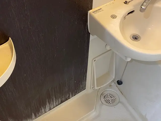 20歳からハウスクリーニング歴15年！非喫煙者◎大手ハウスメーカー経験有りサービスの画像