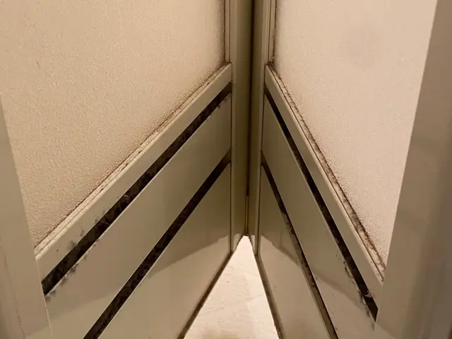 20歳からハウスクリーニング歴15年！非喫煙者◎大手ハウスメーカー経験有りサービスの画像