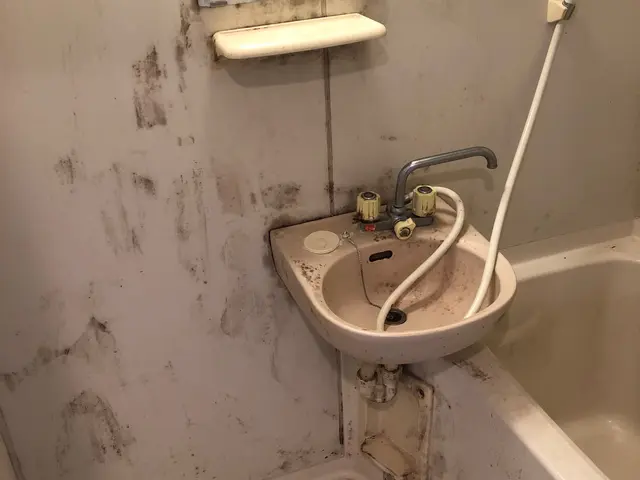 20歳からハウスクリーニング歴15年！非喫煙者◎大手ハウスメーカー経験有りサービスの画像