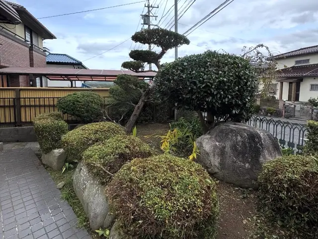 庭園管理士による庭木のお手入れサービスの画像