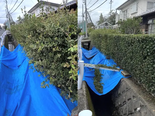 庭園管理士による庭木のお手入れサービスの画像