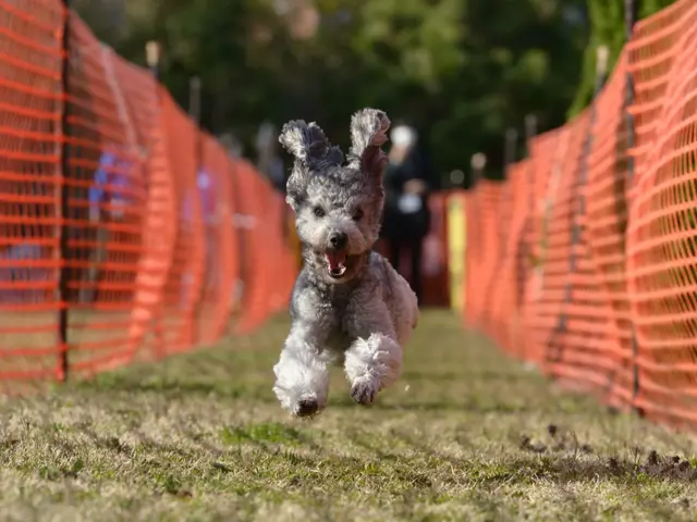 どんなご要望に応えられるプローのサービスを提供サービスの画像