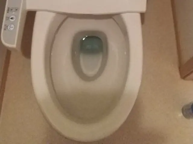 【岡山エリア】あなたの家の　お掃除便利屋さん　2人対応全力で施工致します。サービスの画像