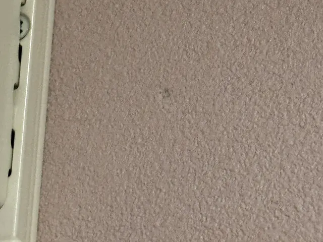 大手経験の明るい職人が手がける丁寧施工と安心のアフターフォローサービスの画像