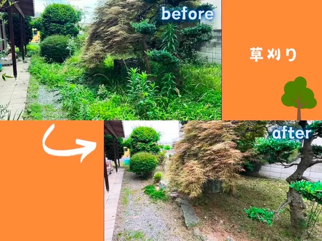 【群馬県の植木屋】豊富な経験を持つプロの庭師がご相談から作業まですべて行います！サービスの画像