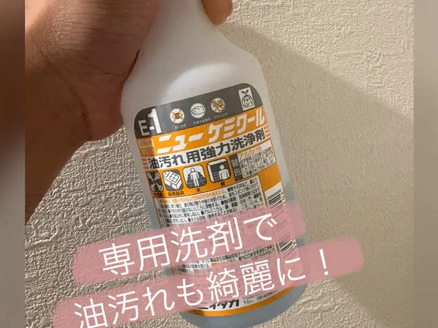 経験豊富なスタッフが頑固な油汚れキレイに清掃致します！サービスの画像