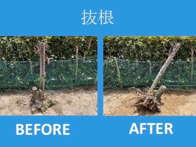 作業外注一切なし◎損害保険加入済み！駐車場代は当店が負担します！サービスの画像