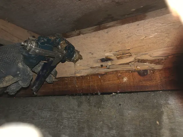 ★業歴11年★コロナ対策済★安心5年保証★年1回の無料点検★有資格者が一貫対応サービスの画像