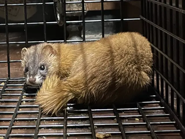 【業歴30年の実績】完全自社対応！営業時間外も対応可◎アフターフォローも万全サービスの画像