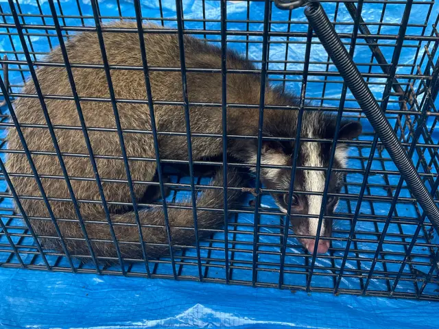 【業歴30年の実績】完全自社対応！営業時間外も対応可◎アフターフォローも万全サービスの画像