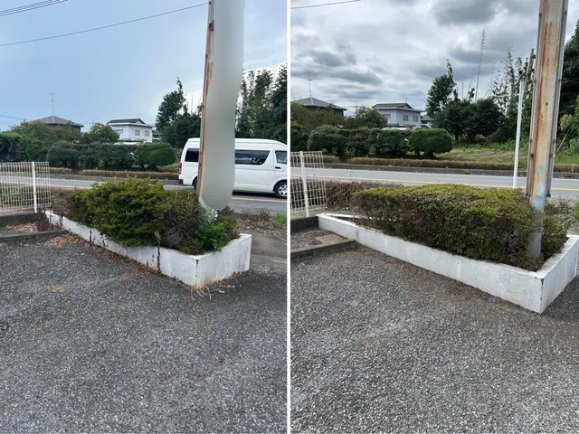 植え込み、生垣の剪定サービスの画像
