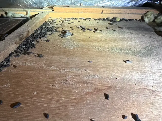 大手実績あり！迅速・丁寧な対応で安心を提供する専門家☆サービスの画像